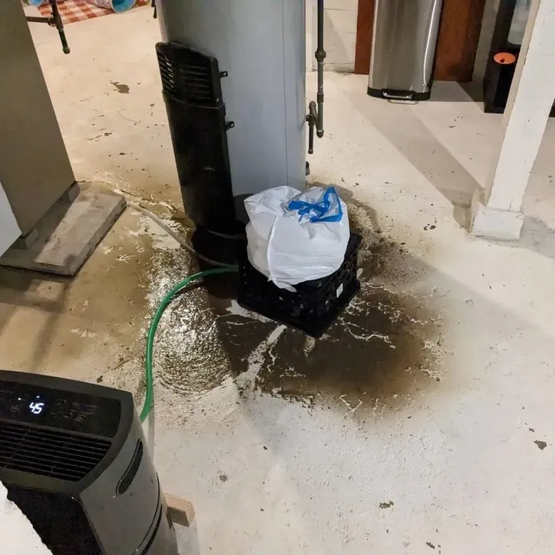 Sewage Backup Cleanup Service in Spearfish, SD